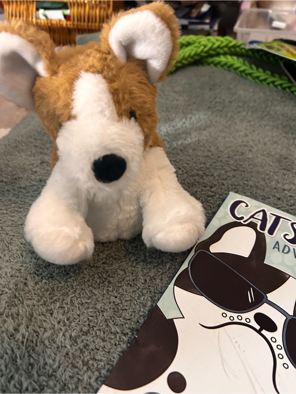 Stuffed Corgi Bundle - Picture 3 of 4